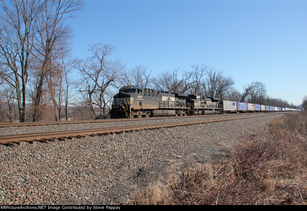 NS 4291 and the NYC Heritage Unit take a container train West